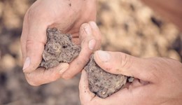 Time to address soil compaction in grassland